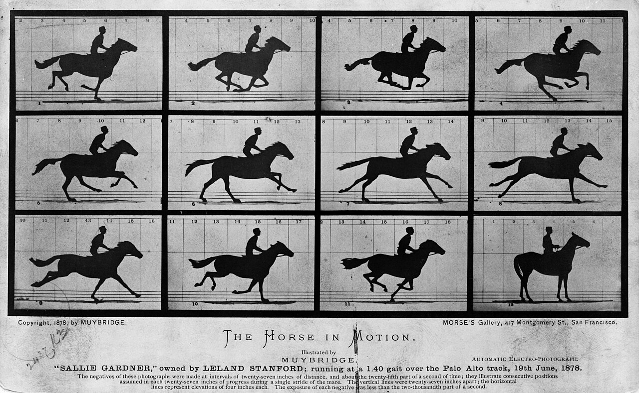 The horse in motion. Still images of a jockey riding a horse.