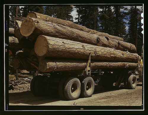 Image of a truck hauling large logs