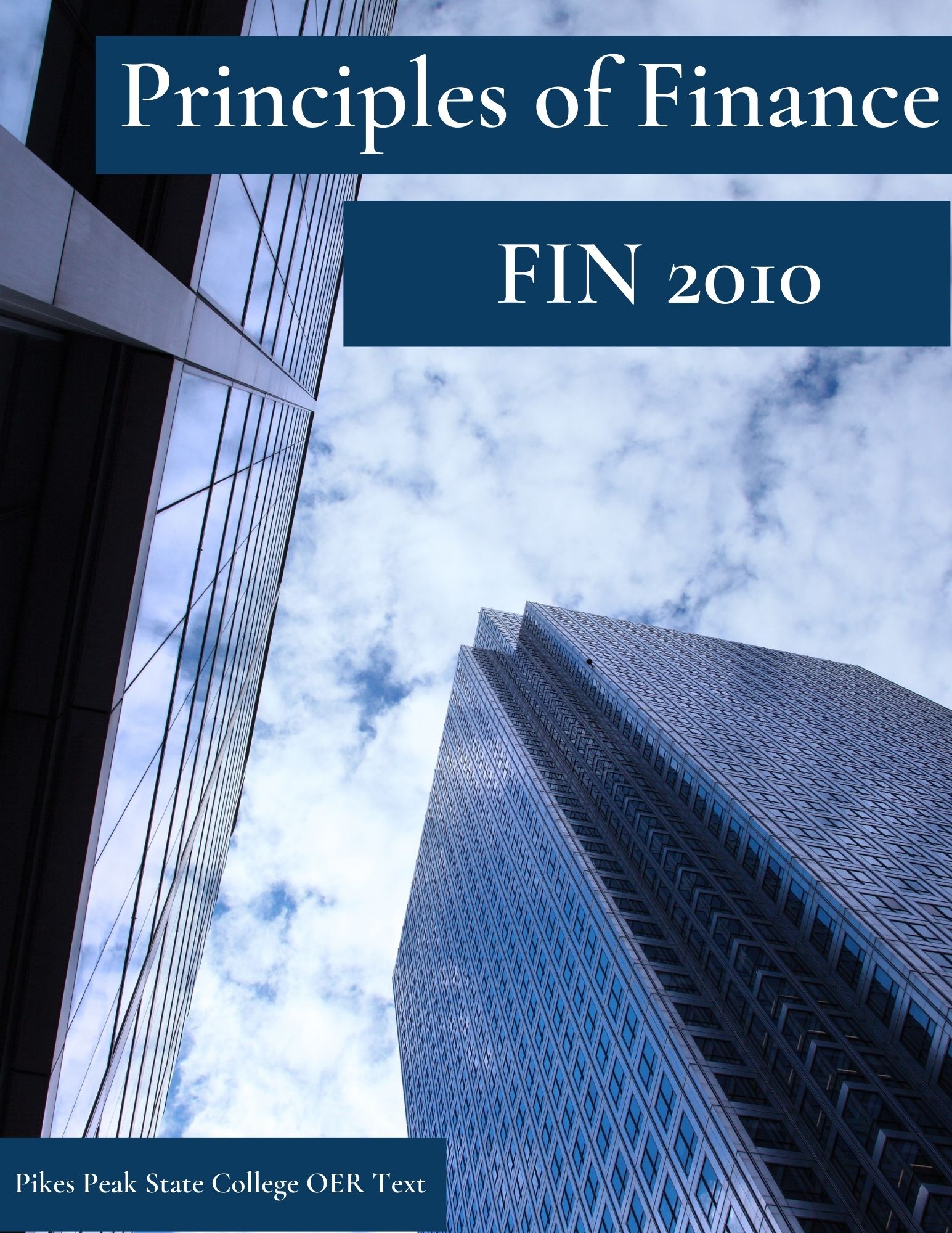 Cover image for PPSC FIN 2010 Principles of Finance 