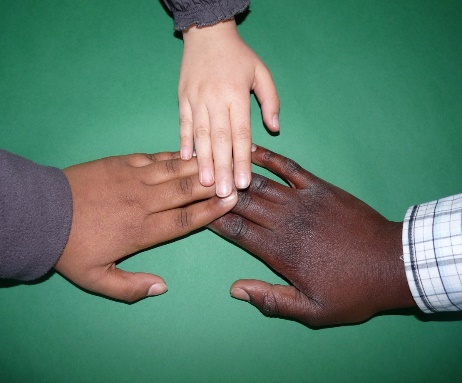 Image if hands displaying the different skin colors of humans.