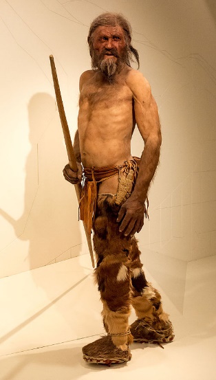 A model of what Ötzi may have looked like in life.