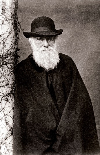 Charles Darwin, circa 1881.