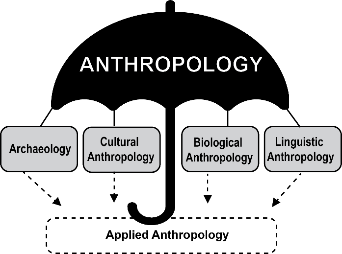 The discipline of anthropology has four subdisciplines as well as an applied dimension.