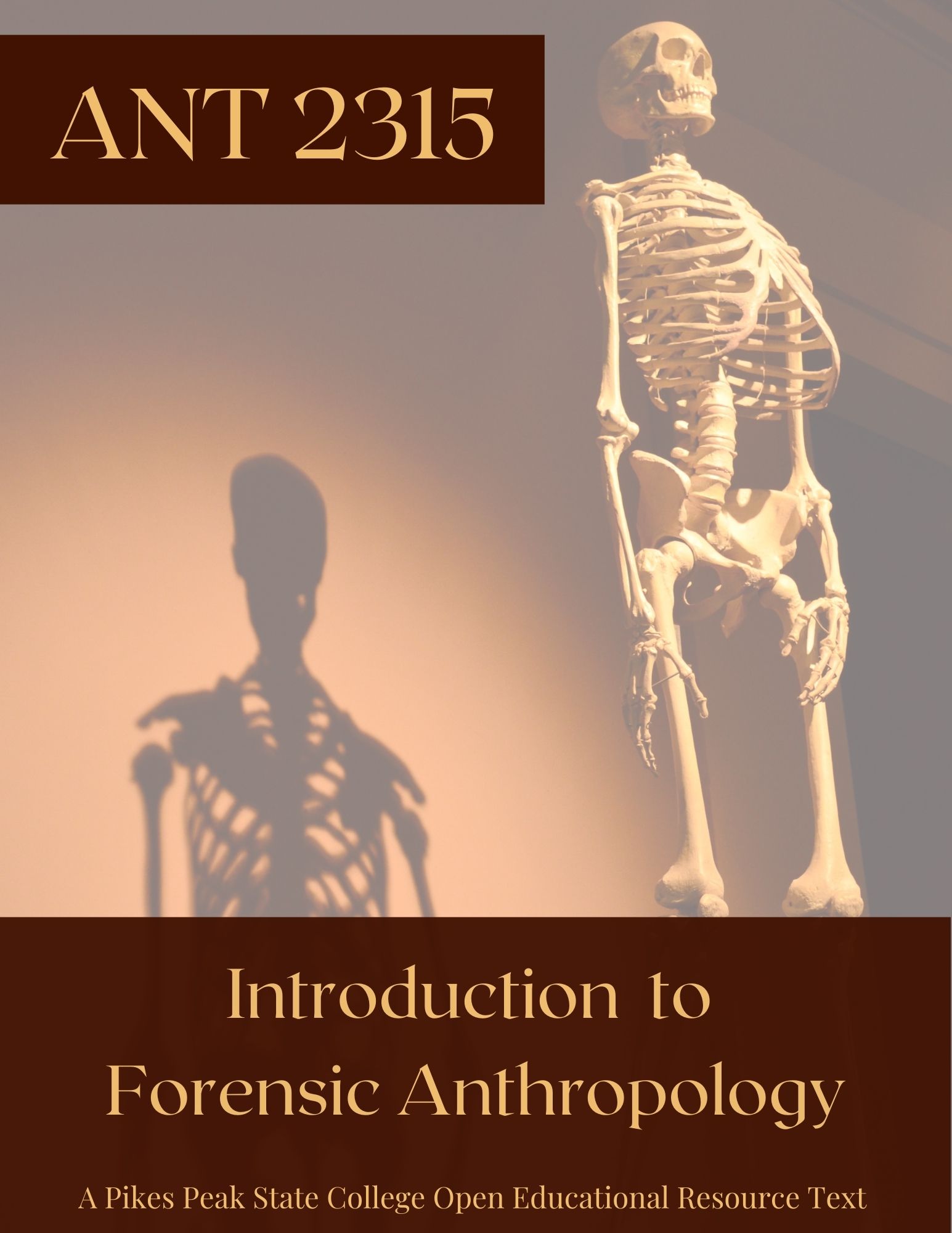 Cover image for PPSC ANT 2315 Intro to Forensic Anthropology