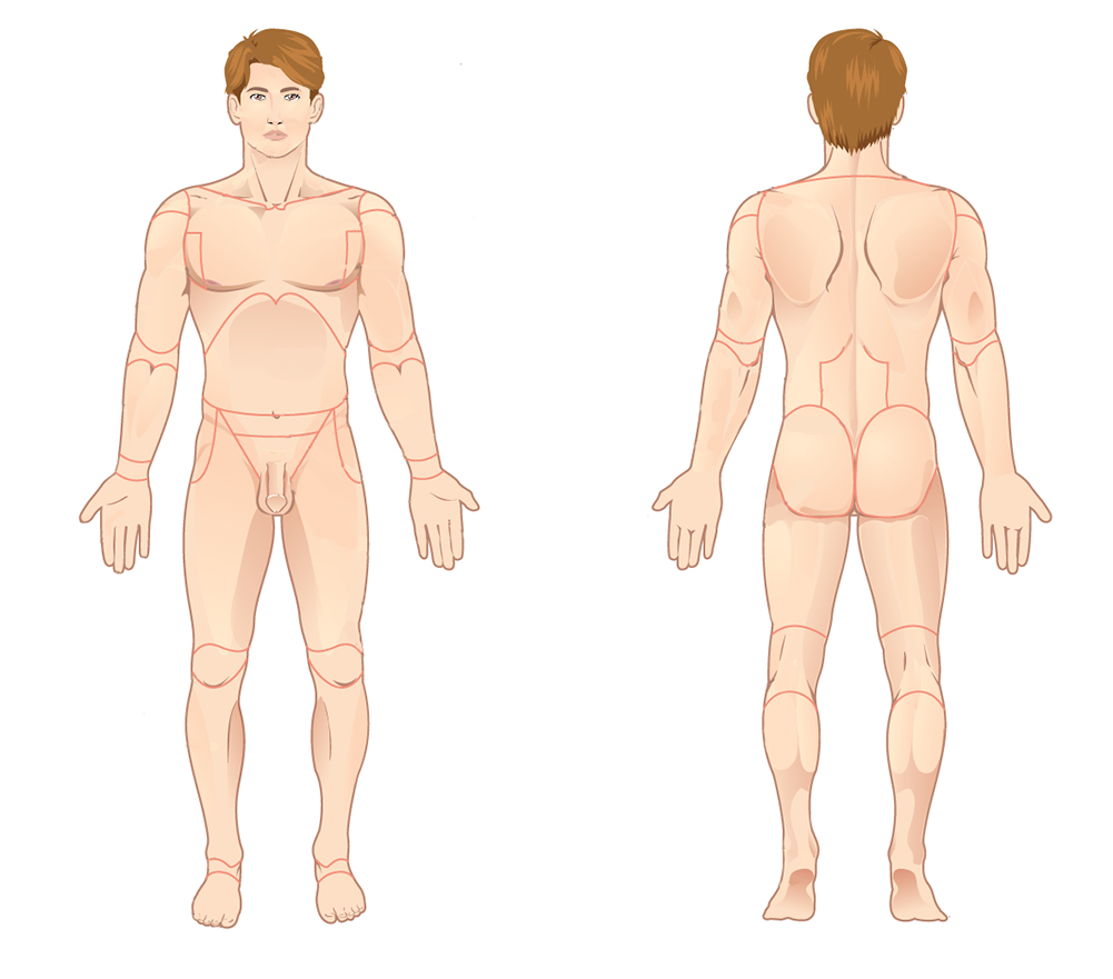 The human body is shown in anatomical position in an (left) anterior view and a (right) posterior view