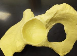 a large acetabulum found on the male pelvis.