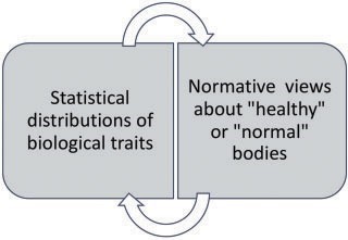 Potential relationships between statistical norms and normative views.