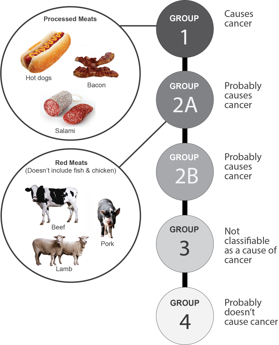 Chart categorizing groups of meat consumption and risk for developing cancer.