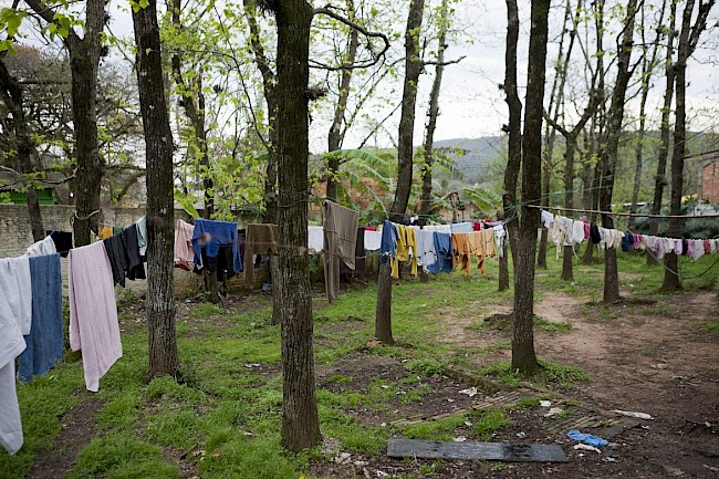 Image of clothes drying on clothes line in a forest.