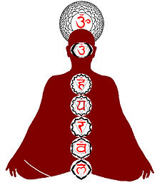 The seven different chakras pictured in their locations, with the exact number of petals each chakra is said to have