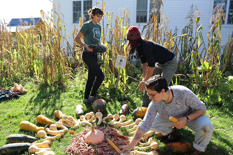 Gardeners display a bountiful harvest from their Three Sisters garden