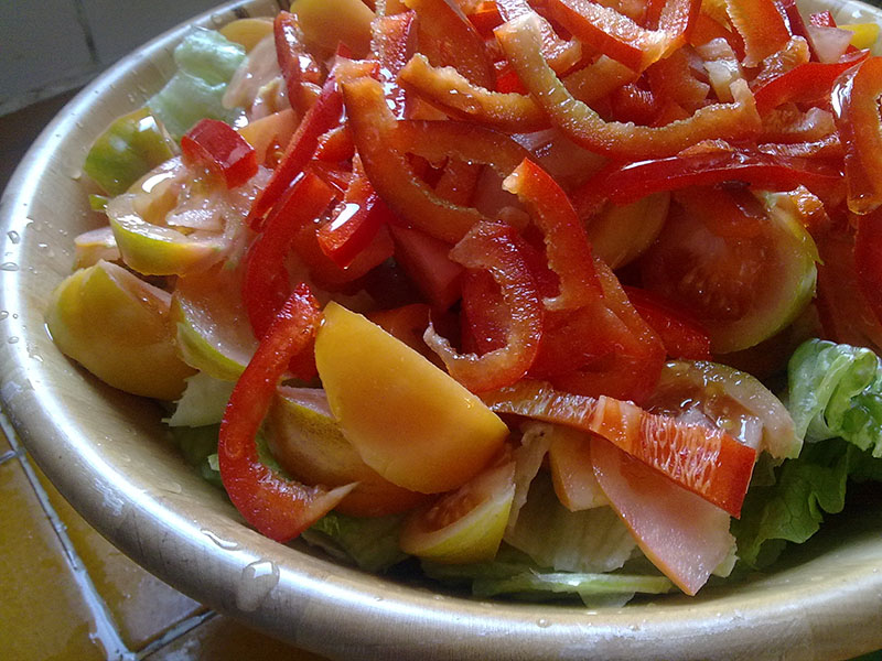 Photograph of Mediterranean salad with lettuce, peppers, and tomatoes.