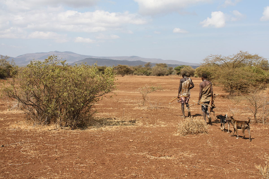 Hadza foragers hunting on foot.