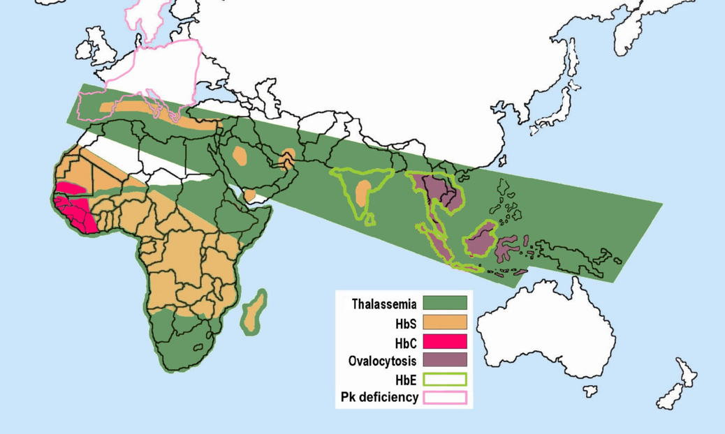 Distribution of sickle cell and associated erythrocytic abnormalities for Africa and Asia.