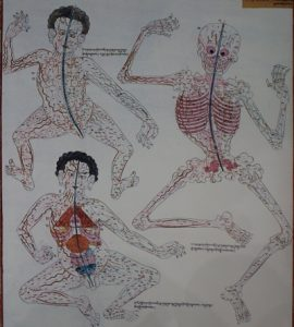 Traditional Tibetan Medicine Poster.