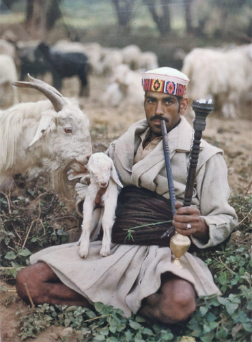 A Gaddi shepherd smoking.