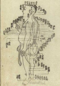 The Taiyang bladder meridian, one of several meridians recognized in Traditional Chinese medicine