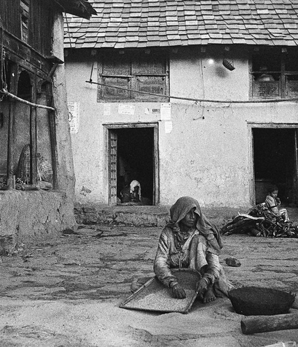 Gaddi woman cleaning wheat, 1977