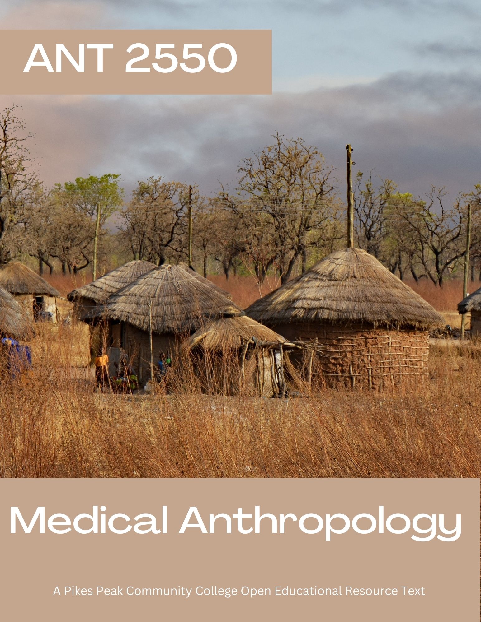 Cover image for PPSC ANT 2550 Medical Anthropology