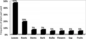 Traditional Herbal Practitioners’ conceptualisation of the aetiology/cause of disease.