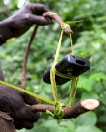 Image of a Torley Trap