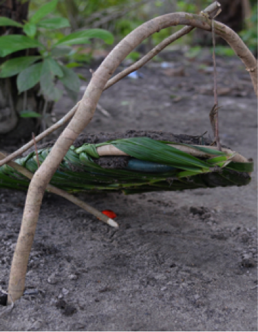 Photograph of a Gbushie trap.