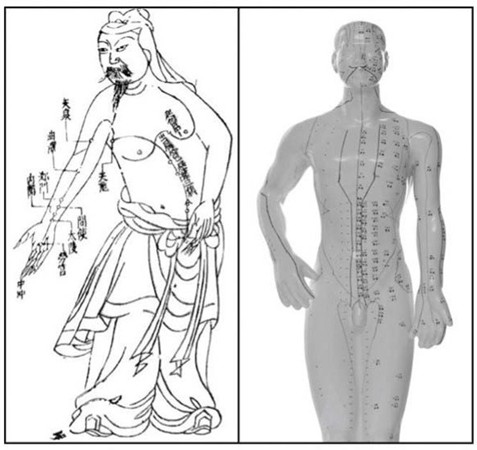 Two examples of Acupuncture charts.