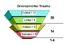 Developmental Trauma. Cortical = 12, Limbic = 8, Midbrain = 8, Brainstem = 6.