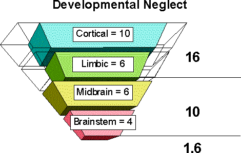 Development Neglect: Cortical = 10, Limbic = 6, Midbrain = 6, Brainstem = 4.