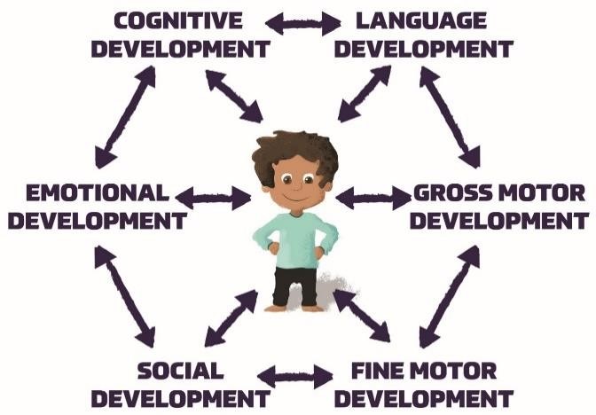 Domains of Development: Cognitive, Language, Gross Motor, Fine Motor, Social, and Emotional.