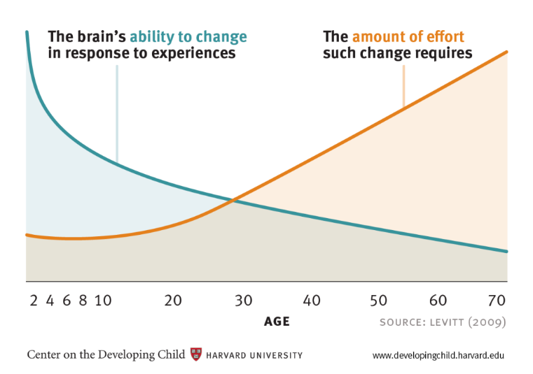 The brain's ability to change in response to experiences decreases with age while the amount of effort required to create the change increases with age.