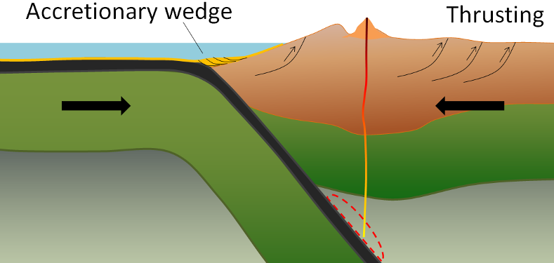 Illustration of ocean plate and a continent plate converging showing the accretionary wedge and thrusting.