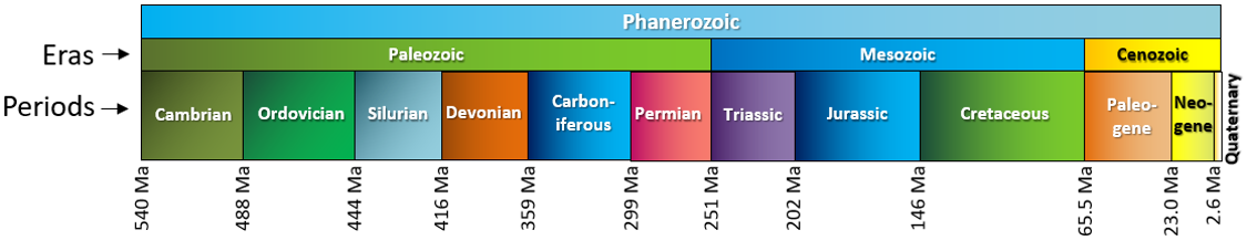 The eras (middle row) and periods (bottom row) of the Phanerozoic eon.