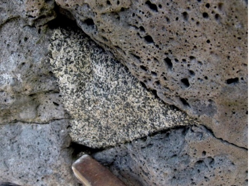 A xenolith of diorite incorporated into a basalt lava flow.