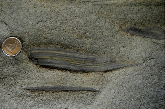 Rip-up clasts of shale embedded in Gabriola Formation sandstone.