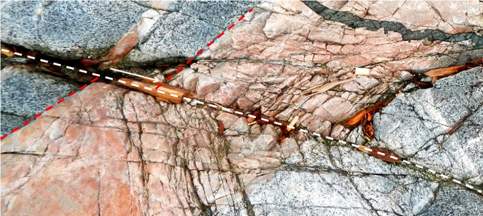 A fault (white dashed line) in intrusive rocks on Quadra Island, B.C. 