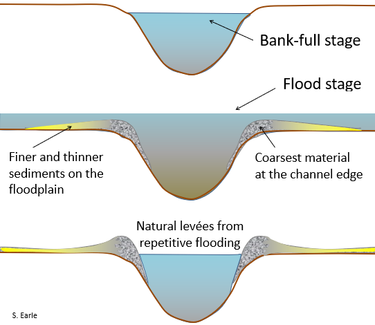 The development of natural levées during flooding of a stream.