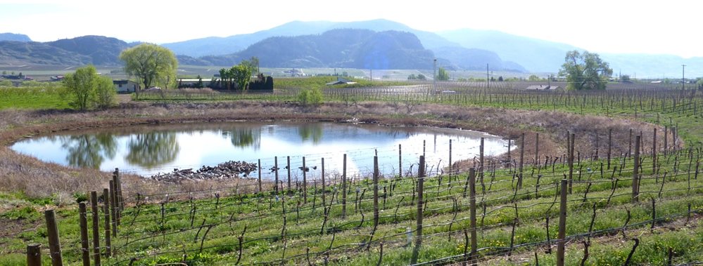 A kettle lake amid vineyards and orchards in the Osoyoos area of B.C.