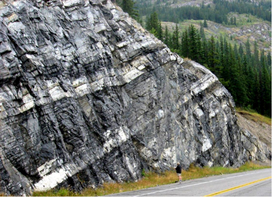 The Triassic Sulphur Mt. Formation near Exshaw, Alberta.
