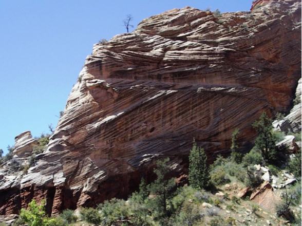 Cross-bedded Jurassic Navajo Formation aeolian sandstone at Zion National Park, Utah.