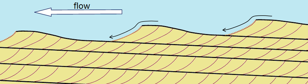Formation of cross-beds as a series of ripples or dunes migrates with the flow.