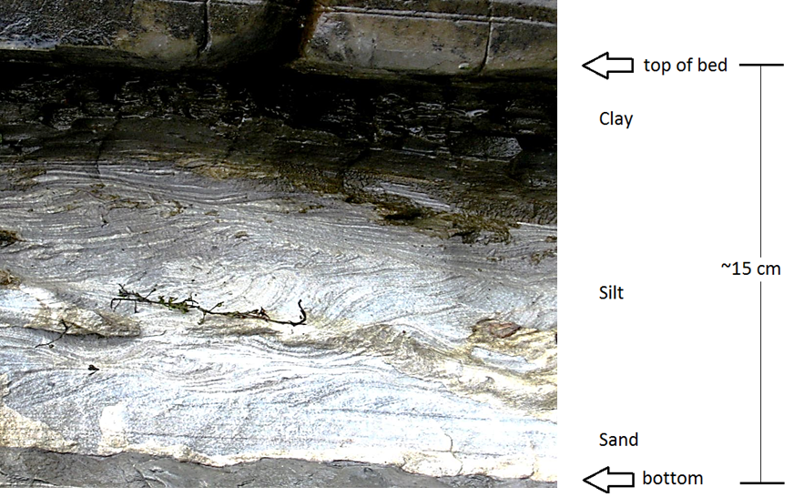 A graded turbidite bed in Cretaceous Spray Formation rocks on Gabriola Island, B.C.
