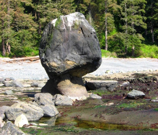 A stack on the Juan de Fuca Trail section of the southwestern shore of Vancouver Island. The rock surrounding the stack is part of a wave-cut platform.