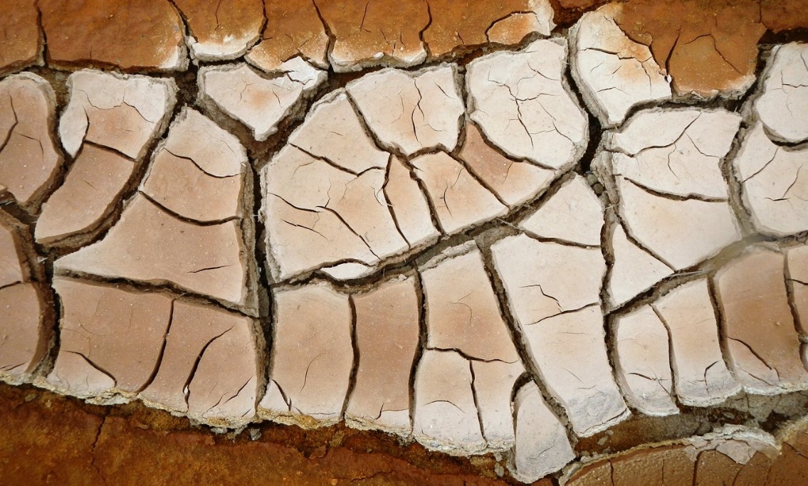 Mudcracks in volcanic mud at a hot-spring area near Myvatn, Iceland.