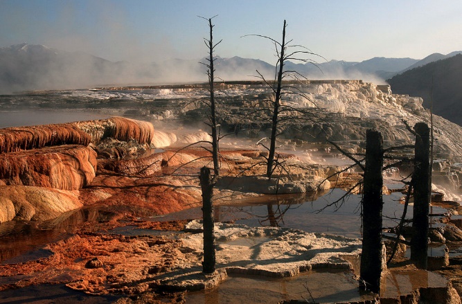 Mammoth Hot Springs travertine deposits, Yellowstone National Park.