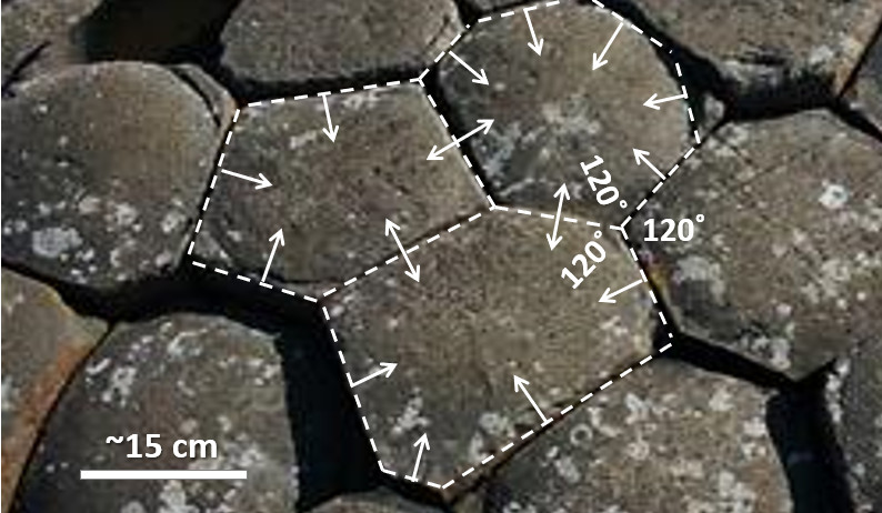 The development of columnar jointing in basalt, here seen from the top looking down.