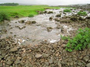 This stream disappears into a subterranean cavern system to re-emerge a few hundred yards downstream.