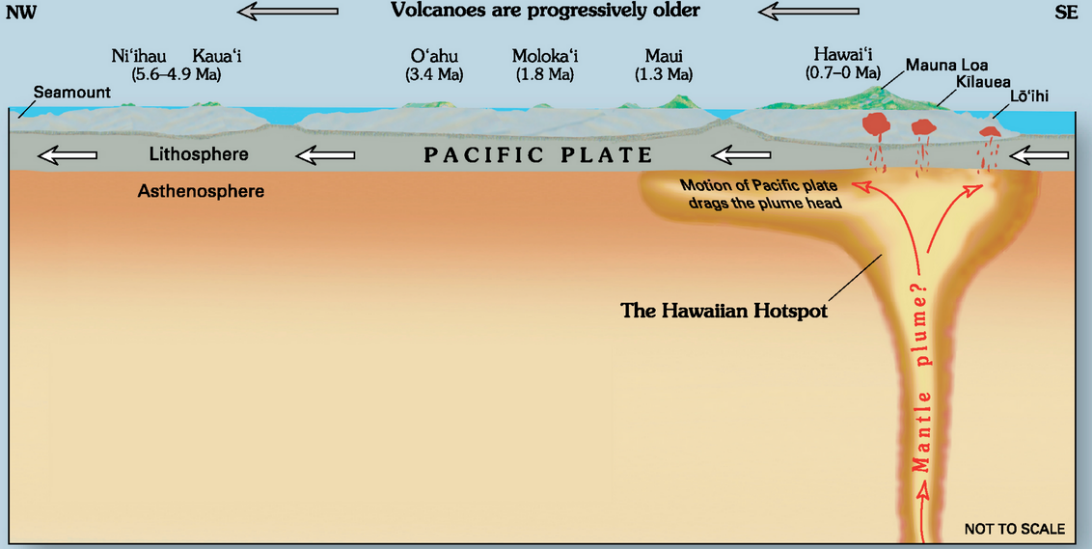 The mantle plume beneath the volcanoes of the island of Hawaii.