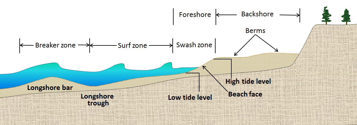 Illustration of a sandy marine beach. Farthest offshore is the breaker zone, followed by the surf zone, a swash zone that hits the beach face, and berms which is on the sandy beach.