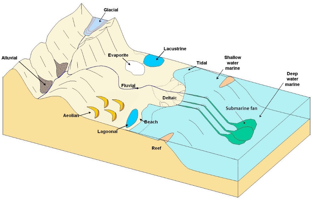Important depositional environments for sediments and sedimentary rocks.